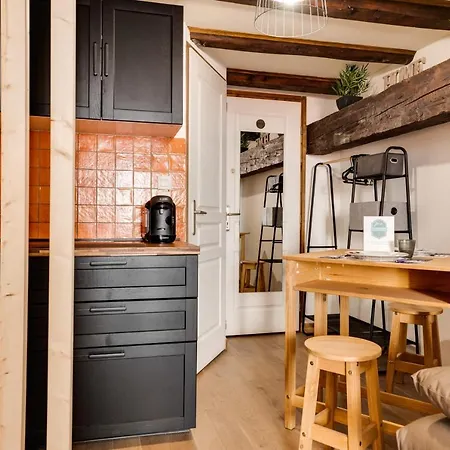 Apartamento Le Cocooning - Small Of 20 Square Meter In The Heart Of Annecy
